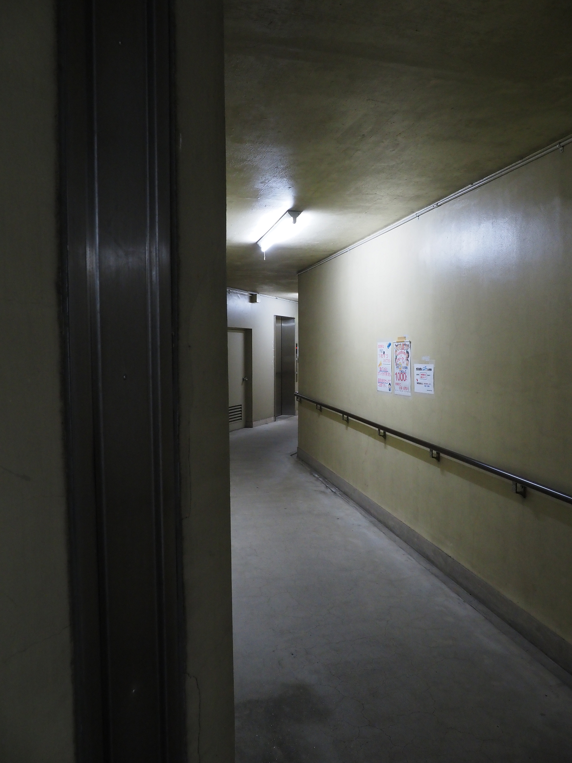 P5280139.jpg