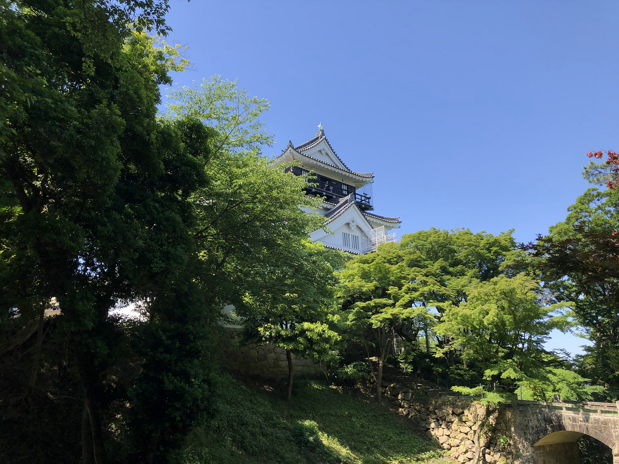 P5280190-15.jpg
