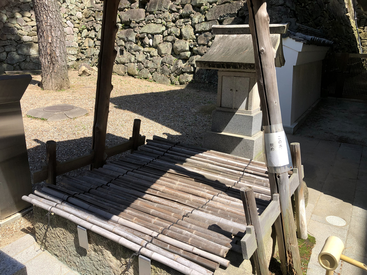 P5280190-19.jpg