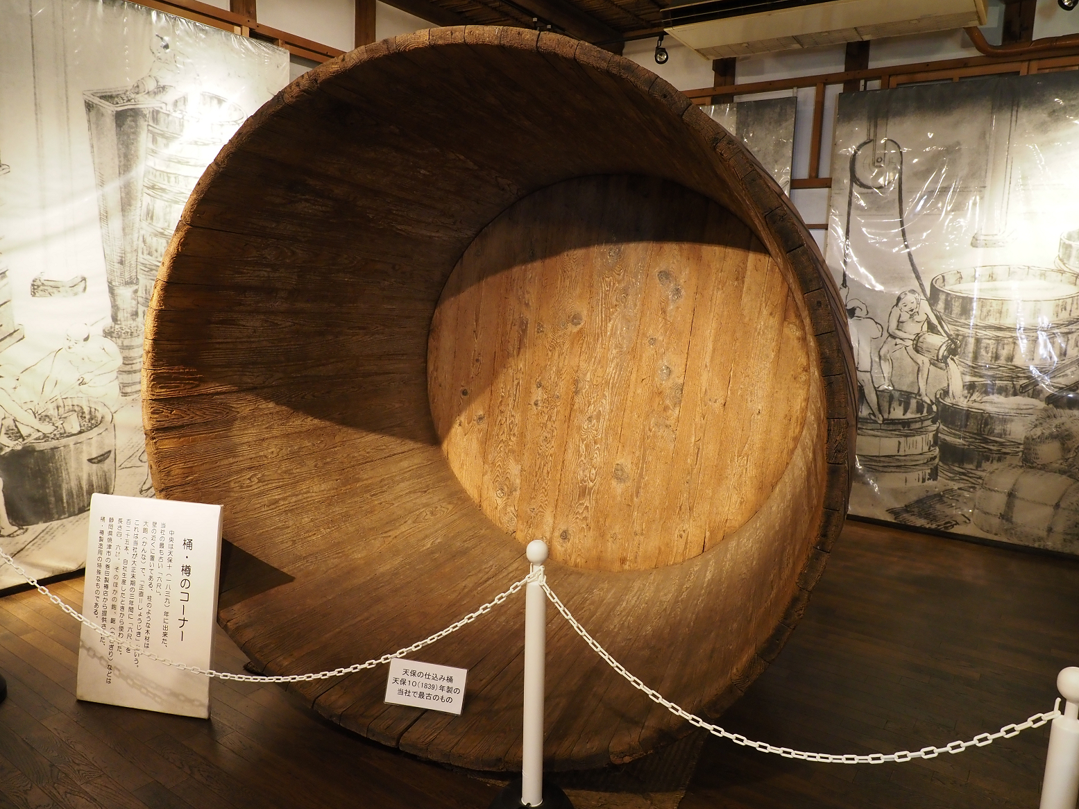P5290264.jpg
