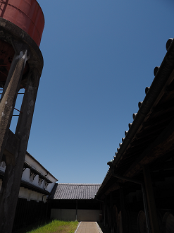 P5290284_thumb.png