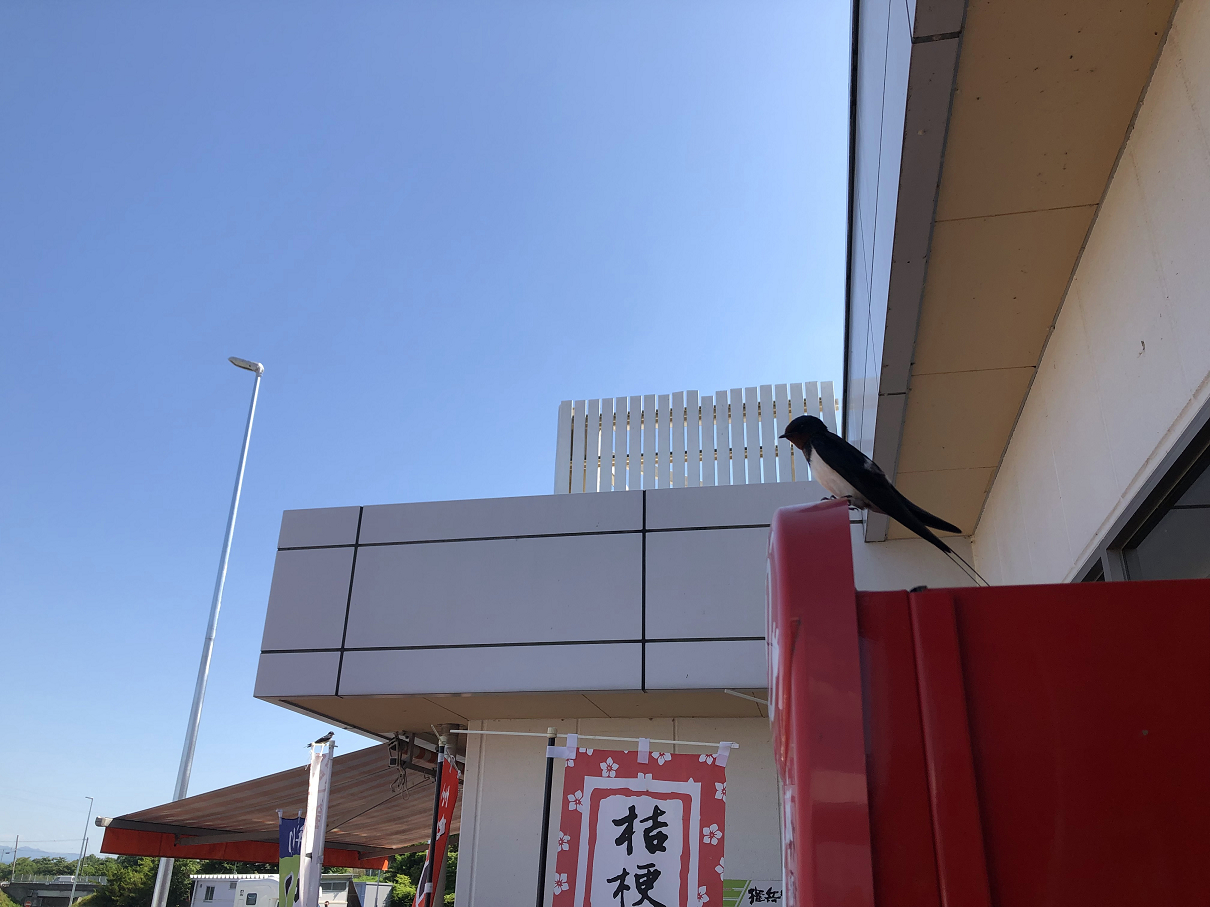 P5290317-16.jpg
