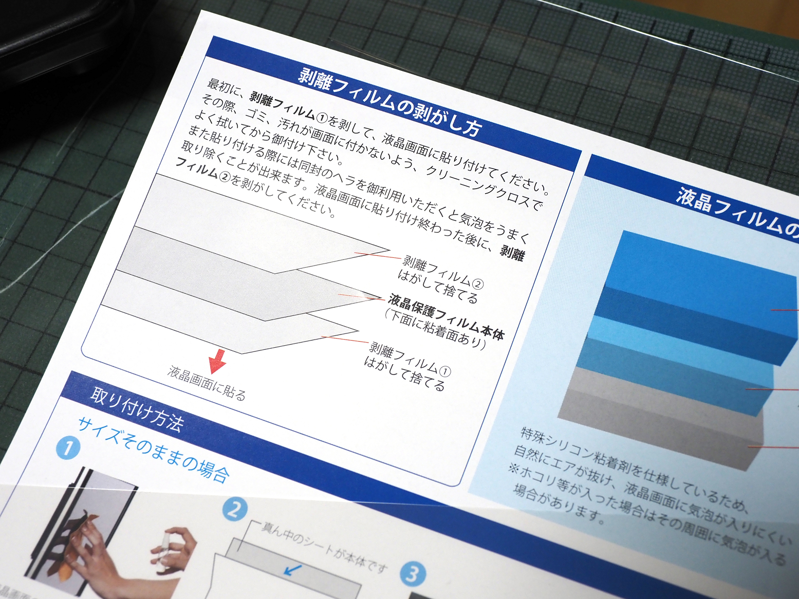 P6100002.jpg