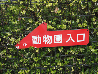 P6180005_thumb.png