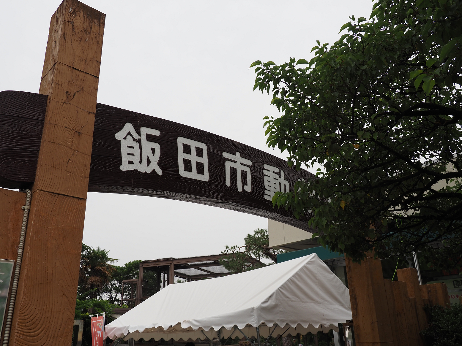 P6180012.jpg