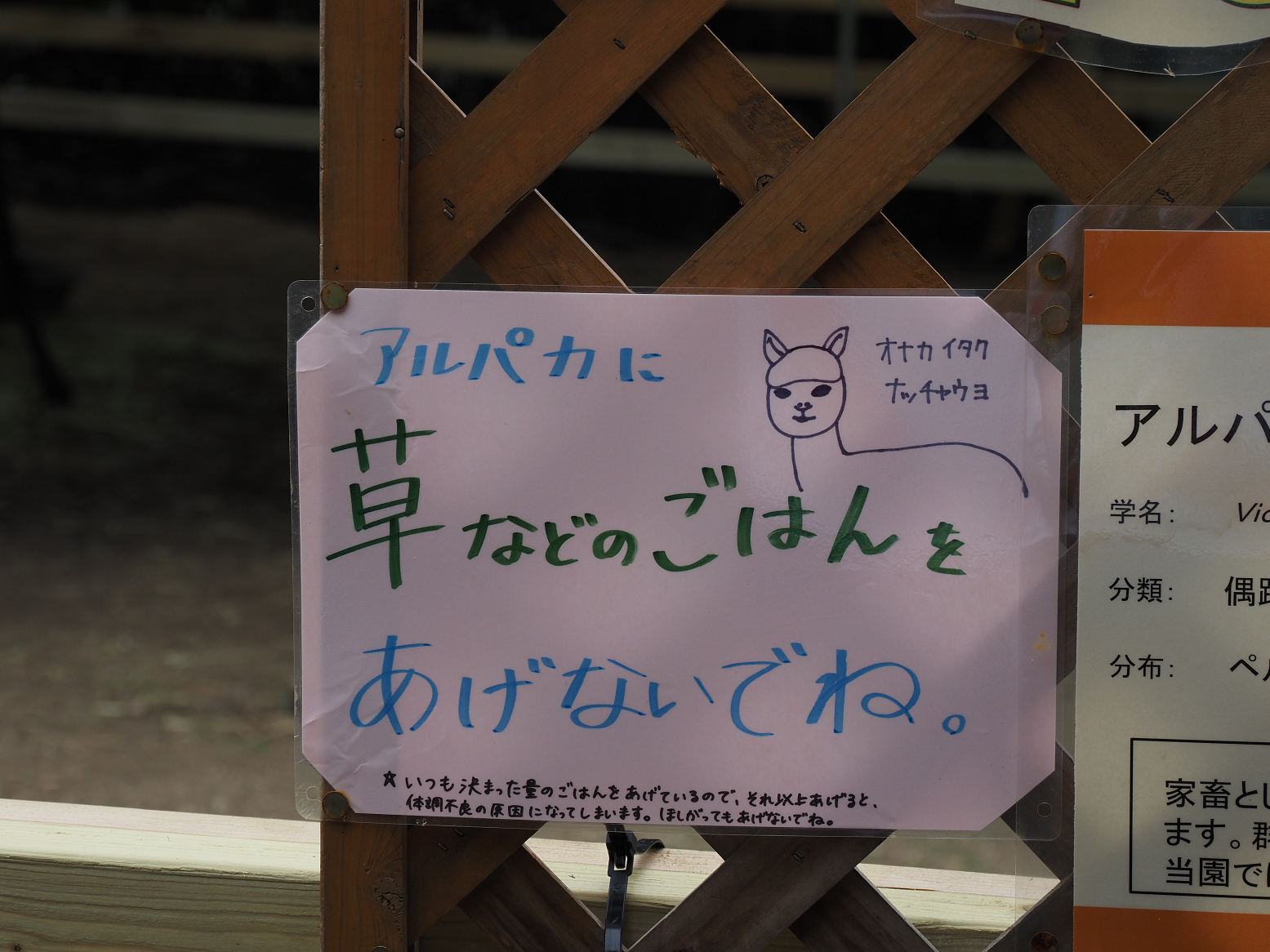 P6180030.jpg