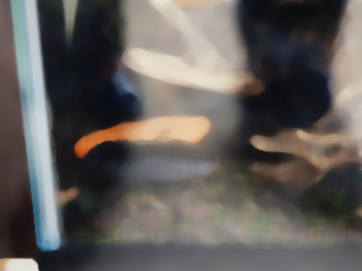 P6180168_thumb.png