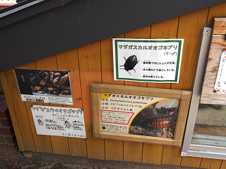 P6180170_thumb.png