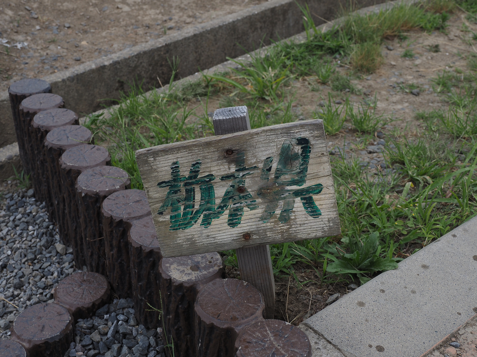 P7030100.jpg