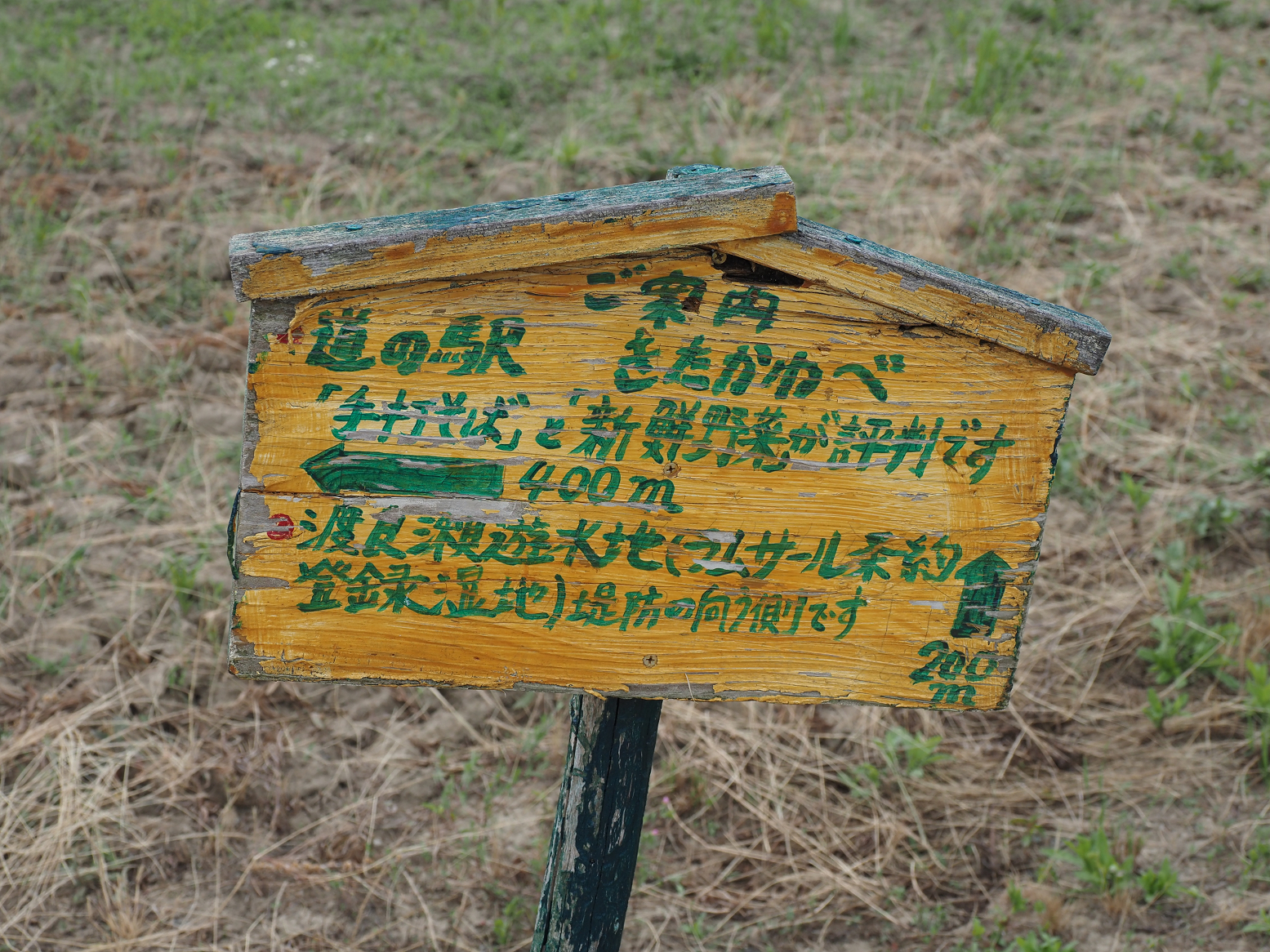 P7030111.jpg