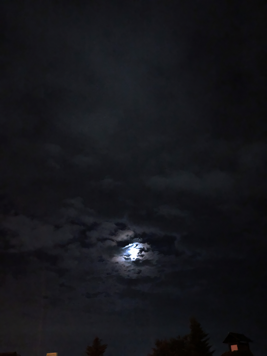 IMG_1276.jpg