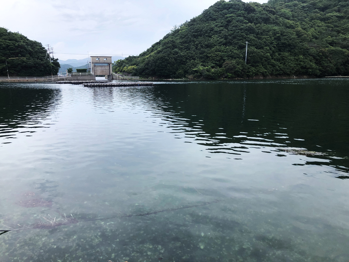 P202207-0153.jpg