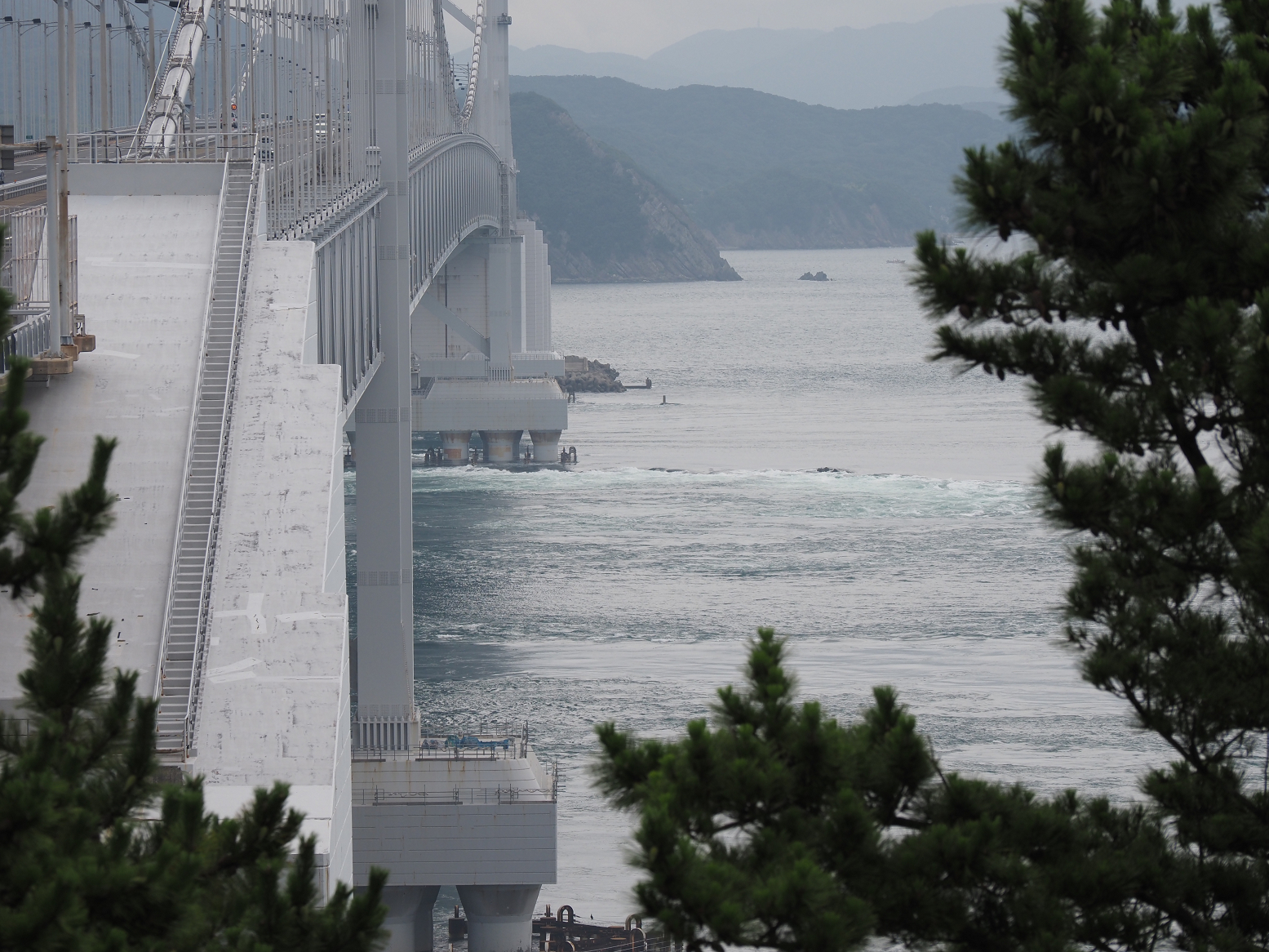 P7160012.jpg