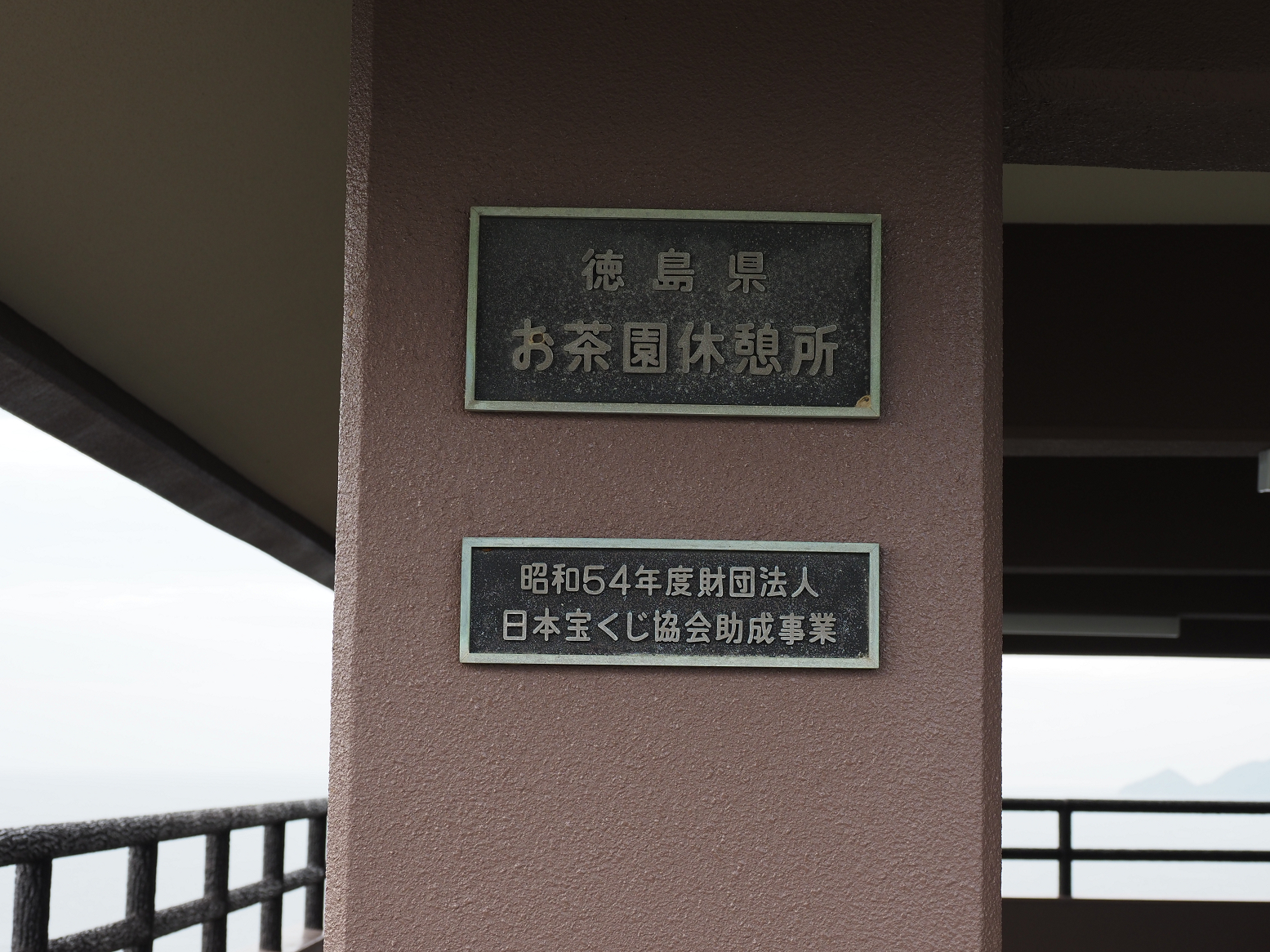 P7160038.jpg