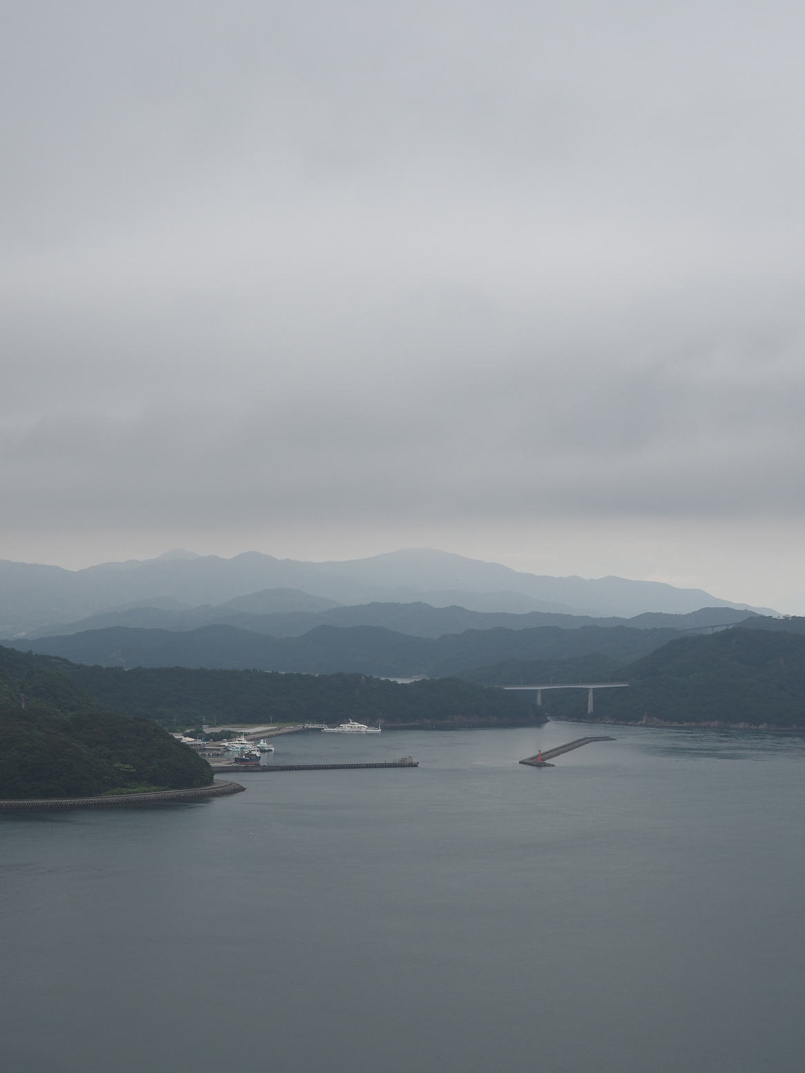 P7160069.jpg