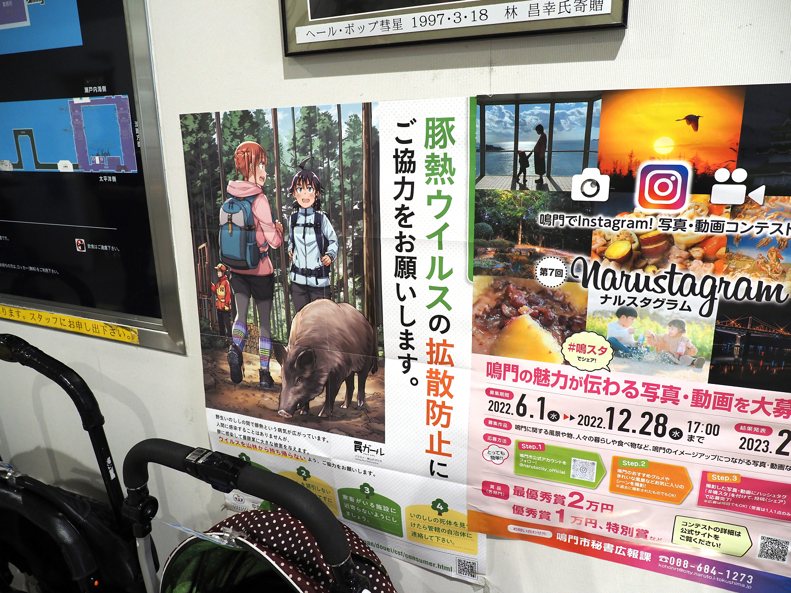 P7160120.jpg