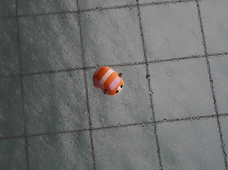 P7160135_thumb.png