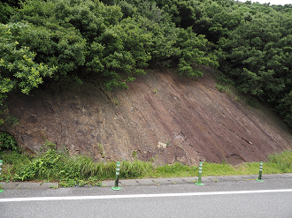 P7160191_thumb.png