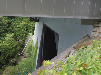 P7160192_thumb.png