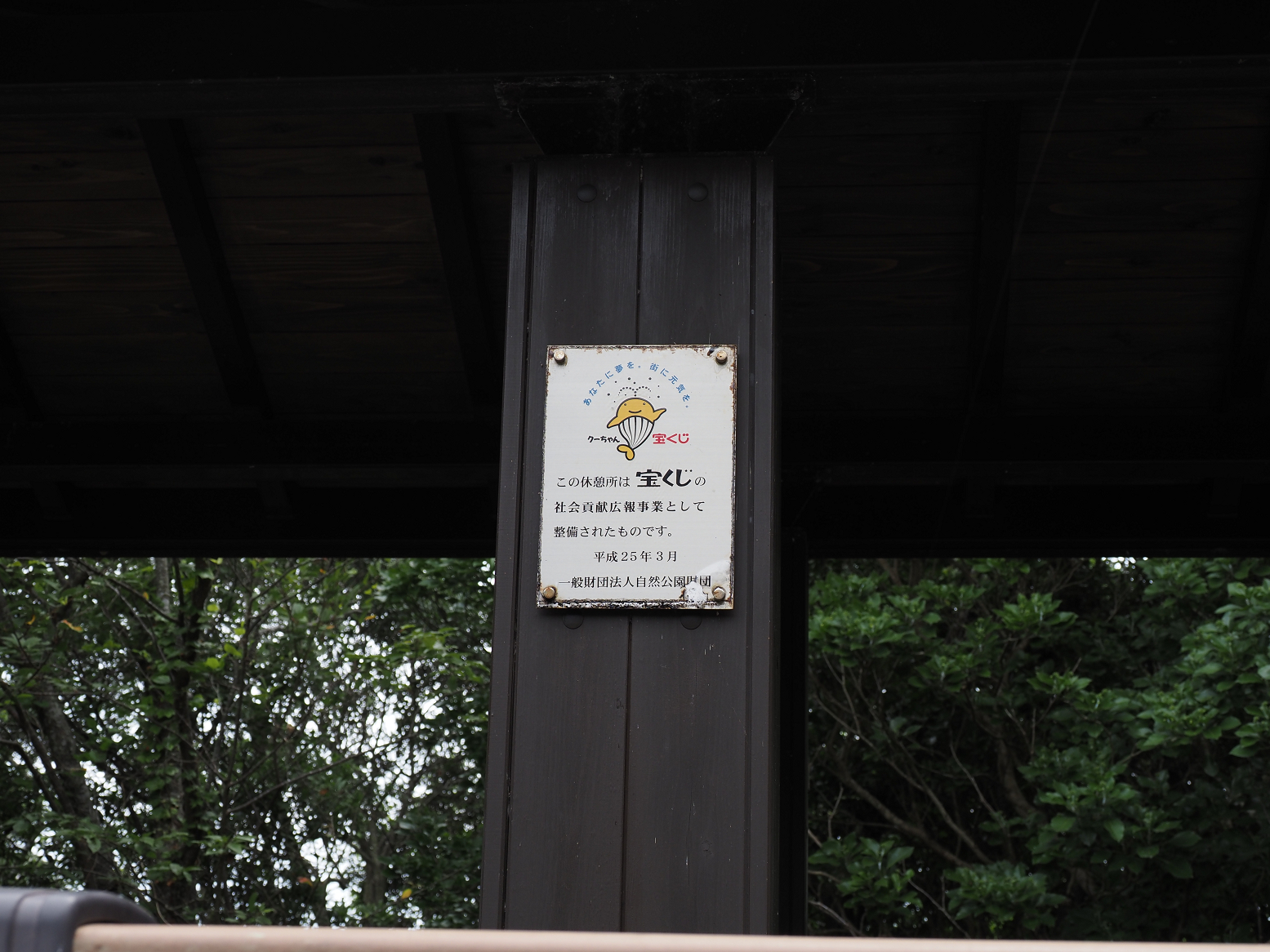 P7160194.jpg