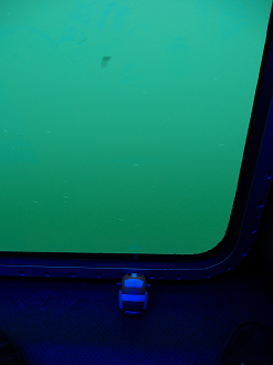 P7160270_thumb.png