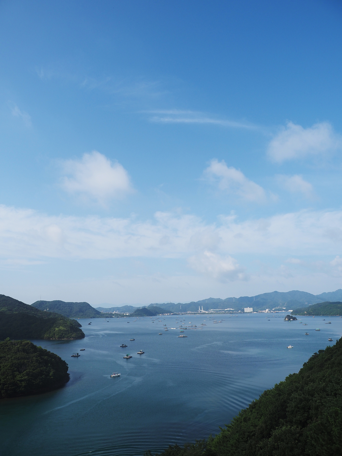 P7170390.jpg