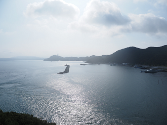 P7170393_thumb.png