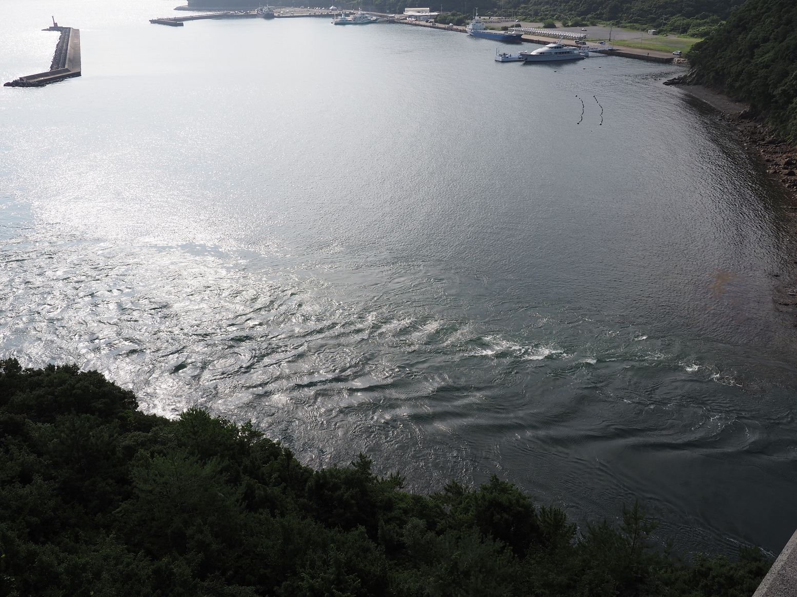 P7170414.jpg