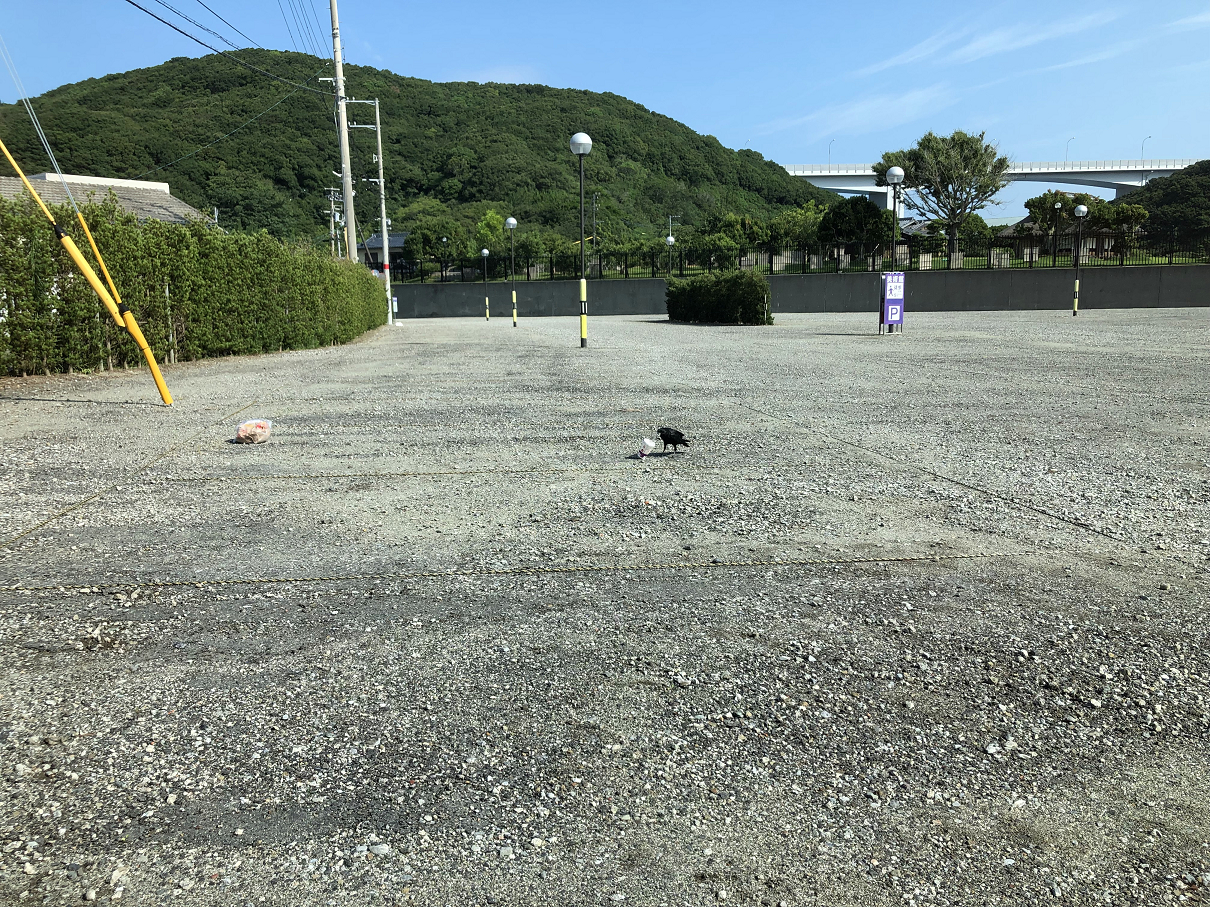 P7170418-00.jpg