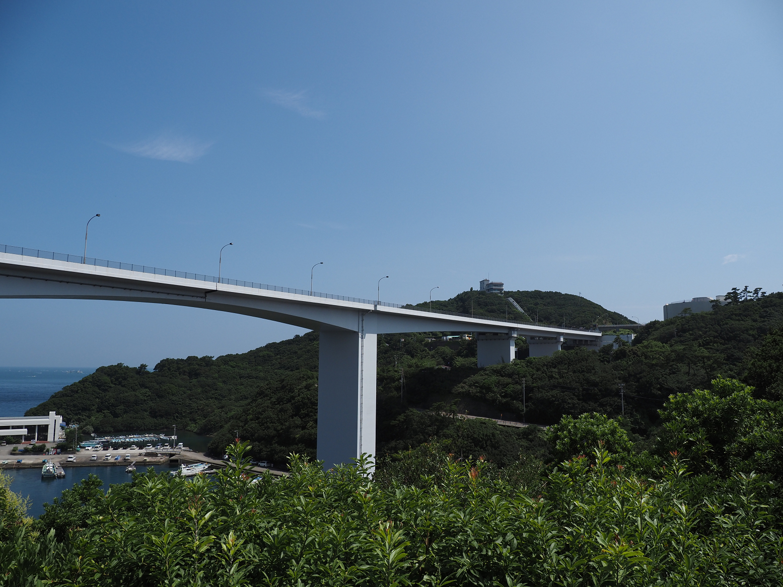 P7170612.jpg