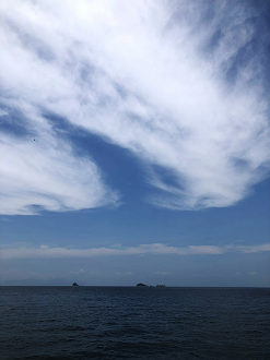 P7170778-019_thumb.png
