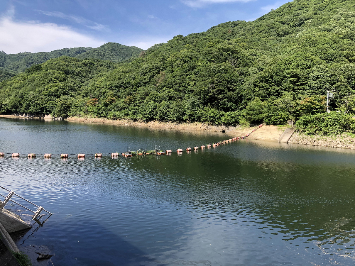 P7170778-105.jpg