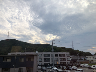P7170778-52_thumb.png