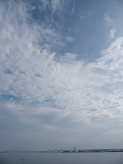 P7180786_thumb.png