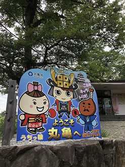 P7180822-082_thumb.png