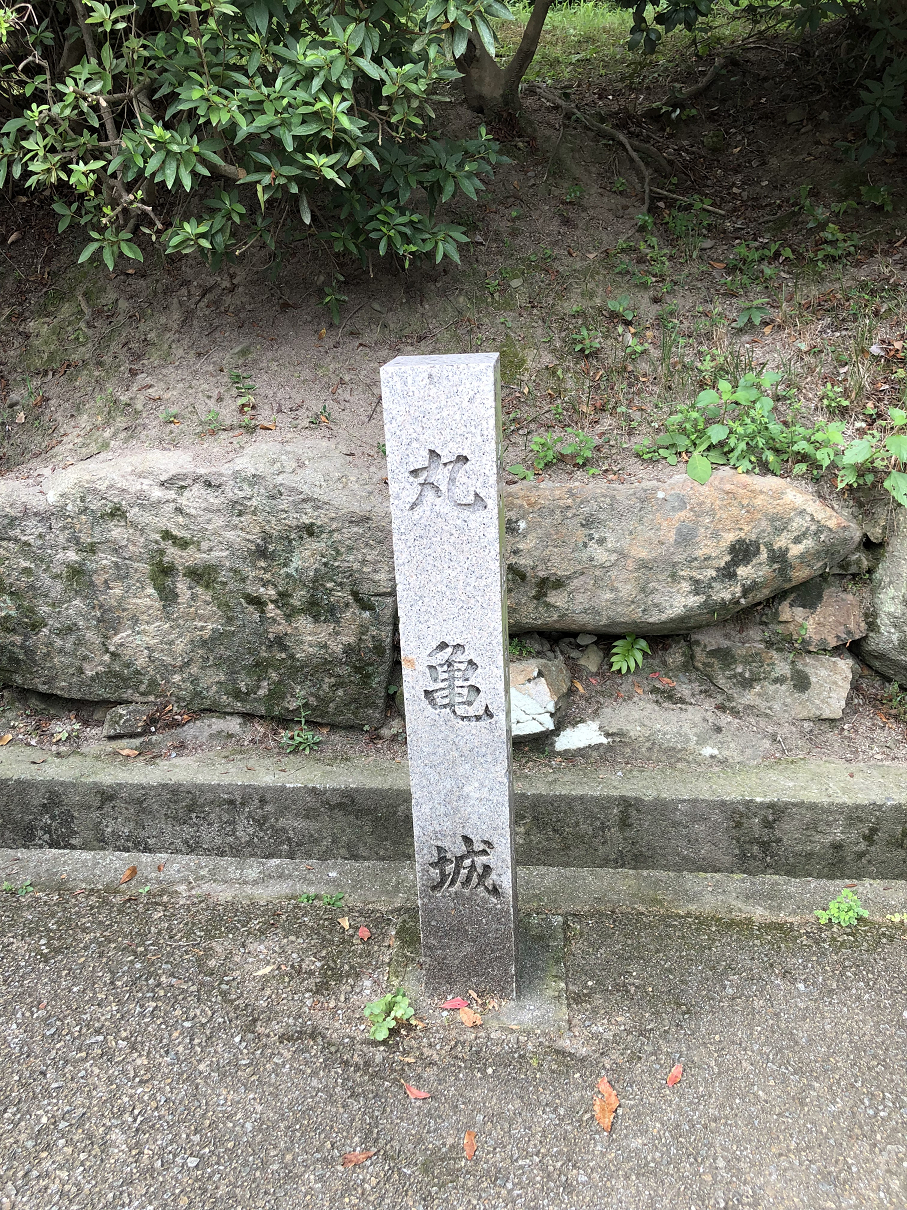 P7180822-088.jpg