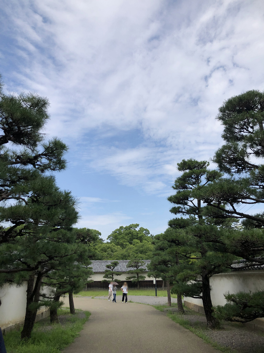 P7180822-090.jpg