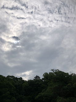 P7180822-092_thumb.png