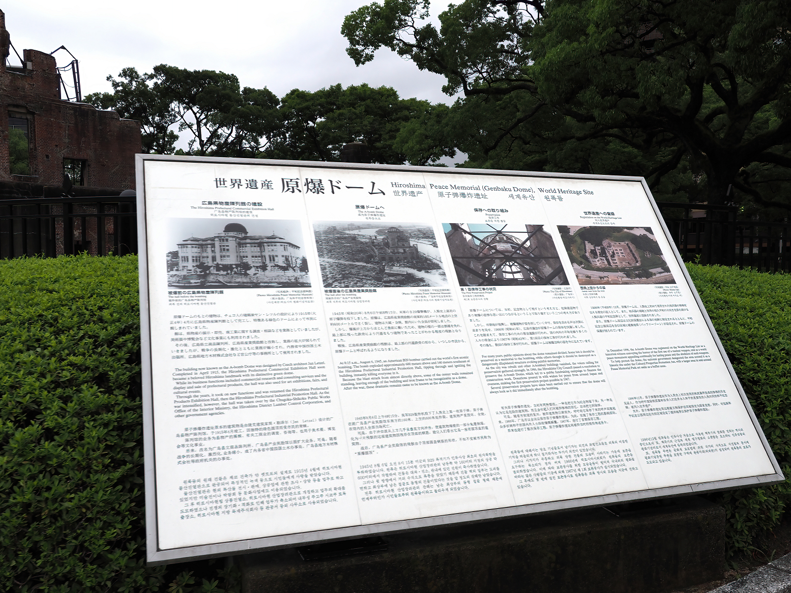 P7190906.jpg