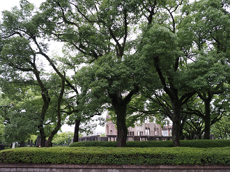 P7190913-000_thumb.png