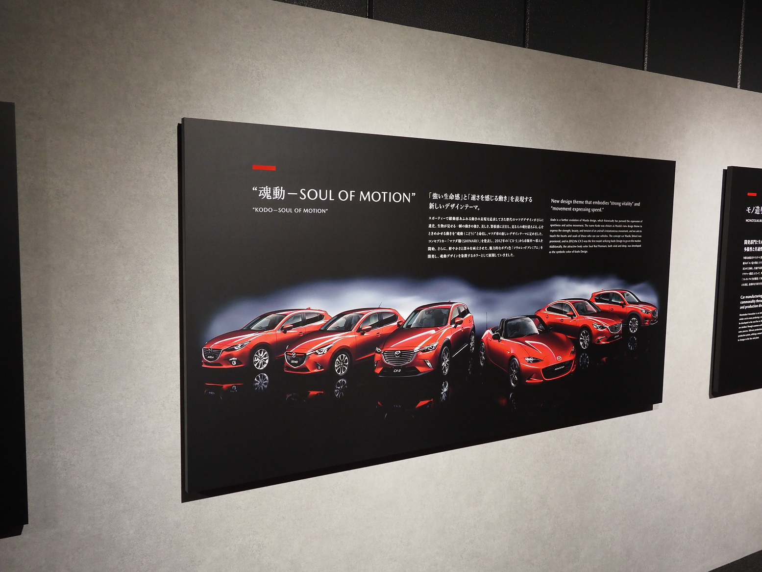 P7191079.jpg