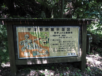 P7231408_thumb.png