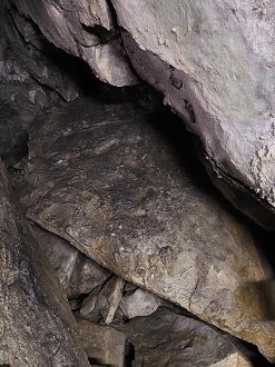 P7231428_thumb.png