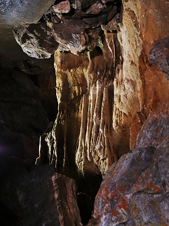 P7231430_thumb.png