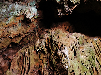 P7231442_thumb.png