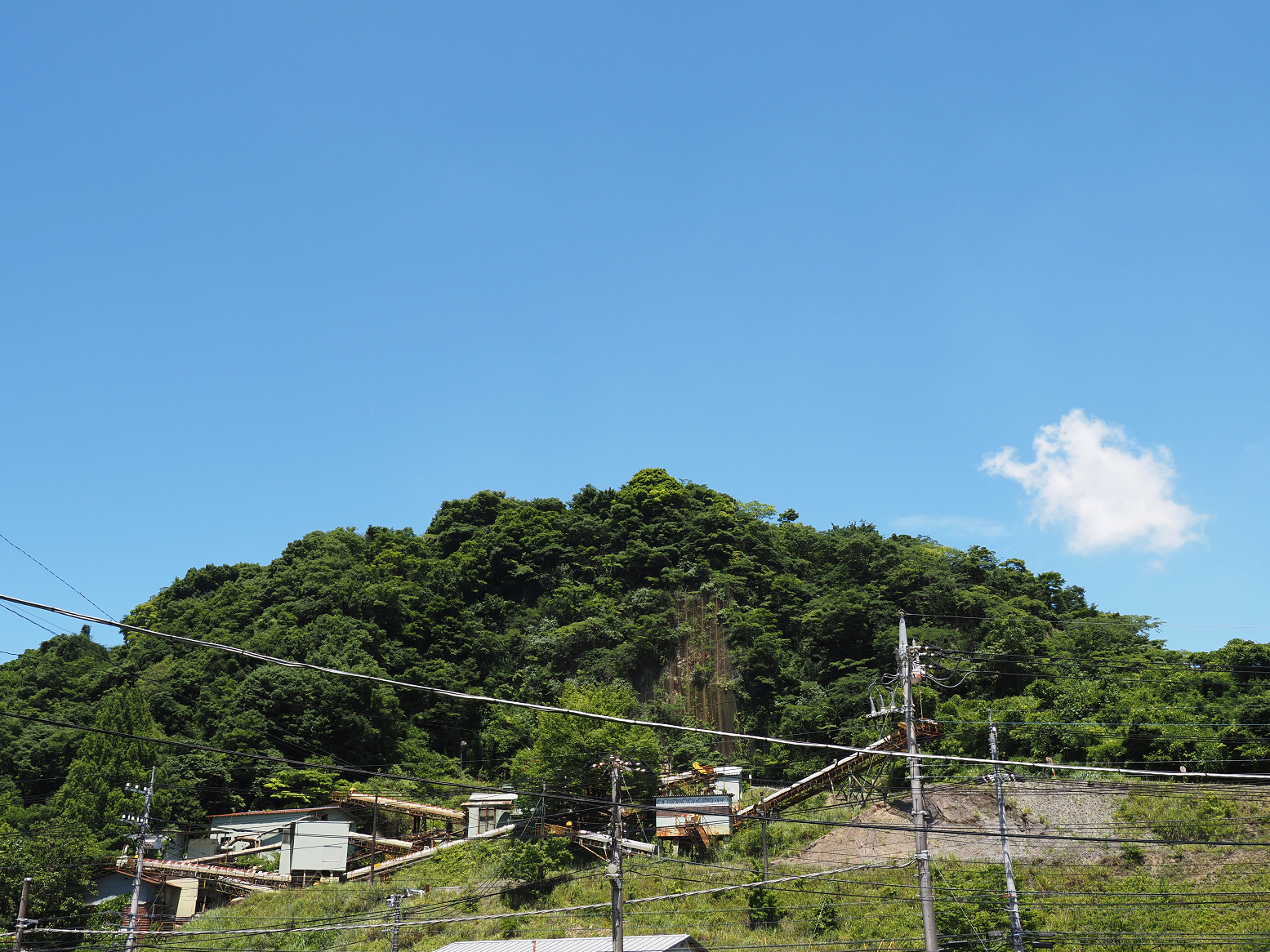 P7231461.jpg