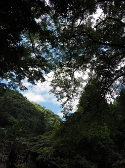 P7231480_thumb.png