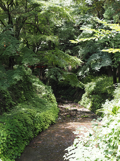 P7231487_thumb.png