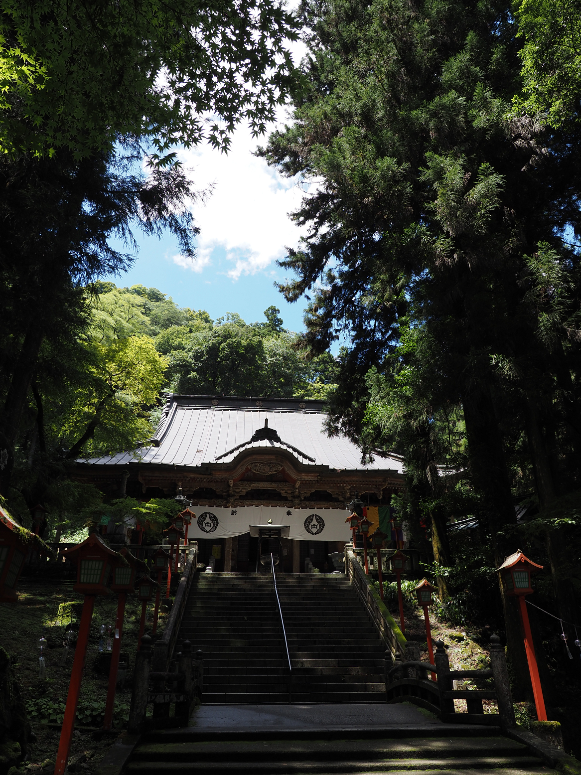 P7231500.jpg