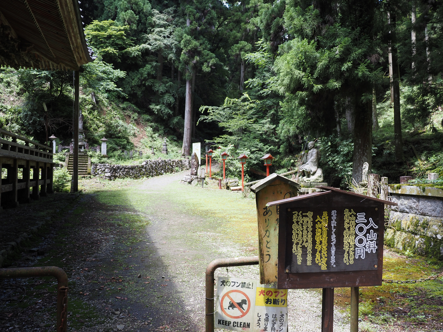 P7231503.jpg